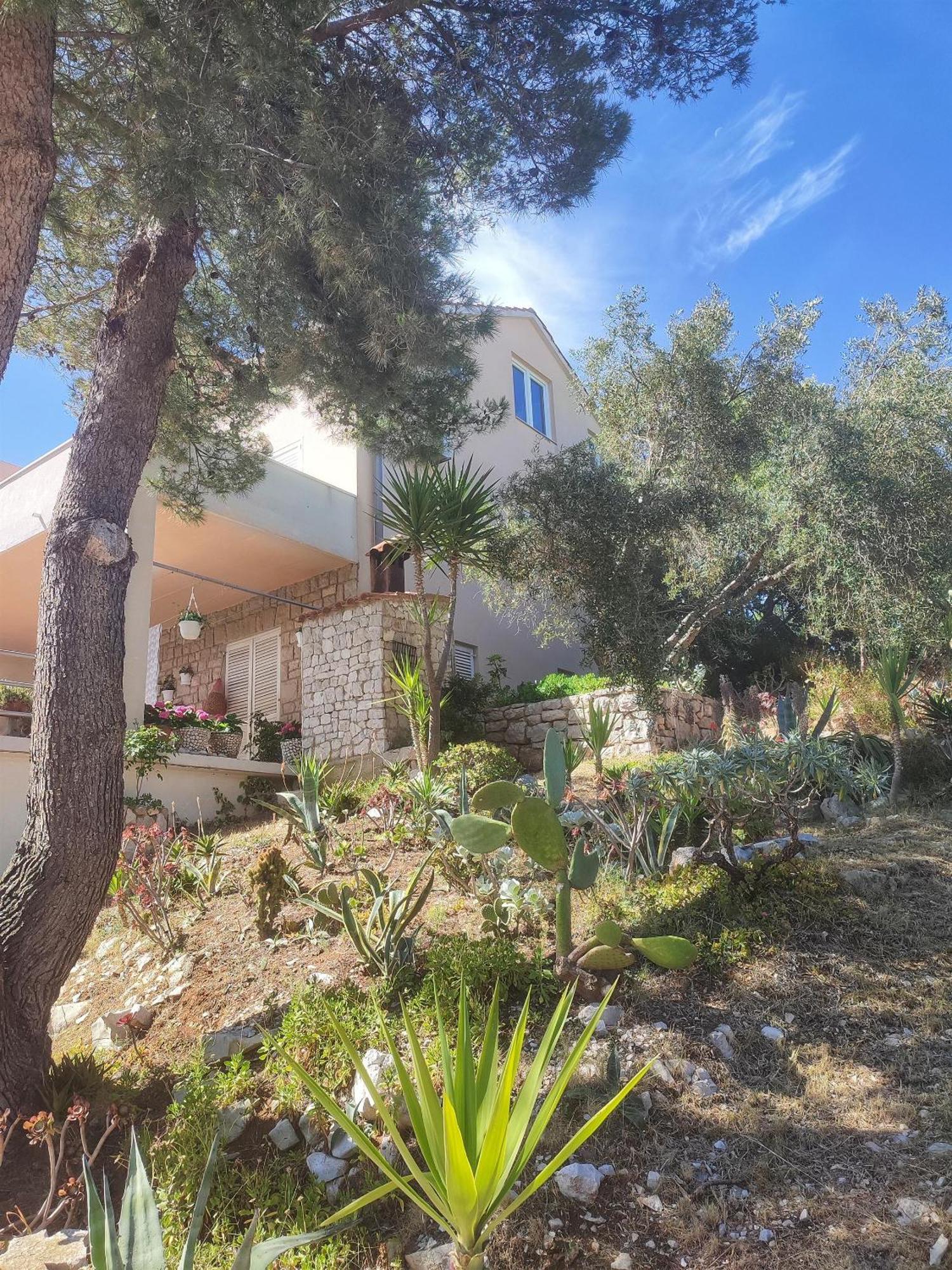Apartments Vesna Lastovo Kültér fotó
